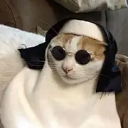 纯爱战士应声倒地