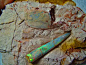 4900 CTS BELEMNITE OPALISED NATURAL SHELL IN HOST ROCK COLLECTOR ITEM