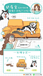 垃圾分类 环保 插画 漫画 小贴士 铲屎官