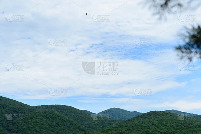 山林景观中弥漫着淡淡的薄雾。