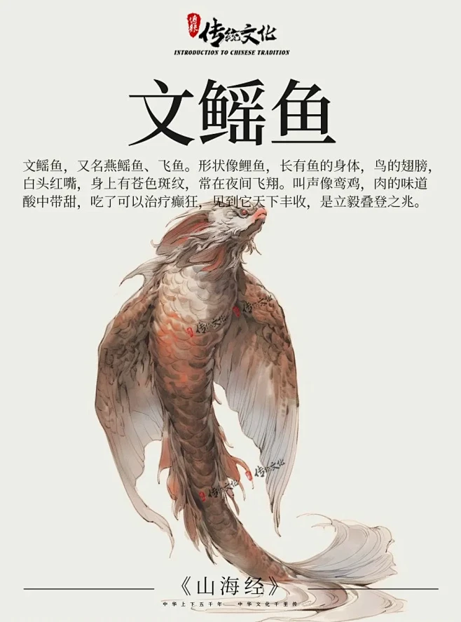 《山海经》中国神话传说上古神兽--文鳐鱼 - 小红书-花瓣网
