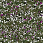 Textures Texture seamless | Flowery meadow texture seamless 12952 | Textures - NATURE ELEMENTS - VEGETATION - Flowery fields | Sketchuptexture
