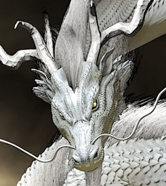 com高质量龙图与龙模型(持续更新)_西方龙吧_百度贴吧伐檀君采集到