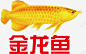 金龙鱼logo图标 免费下载 页面网页 平面电商 创意素材