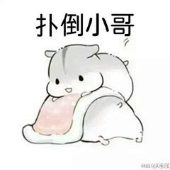 小仓鼠表情包_360图片