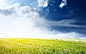 summer-landscape-nature-wallpapers-002