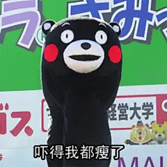 拥有一大波熊本熊表情包是一种什么样的体验？ - 搞笑 - 知乎
