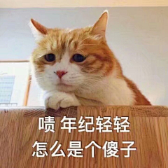 徐遇采集到表情包