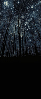 A forest of stars! I love our planet and universe. | God's creation and beauty |: 