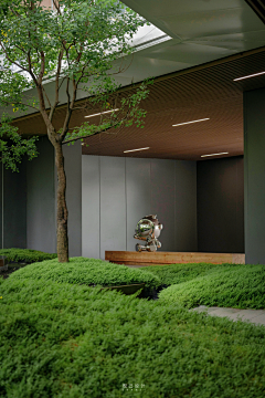 YSH—行采集到S—示范区景观