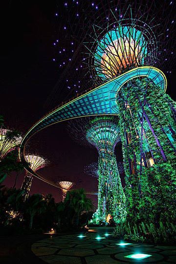 新加坡花園。 #夜景#