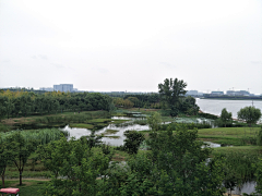 一而再再而三˙ϖ˙采集到B 滨水景观、湿地