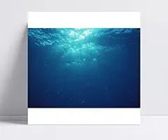 海中海鱼和太阳光|jpg图片素材,风景图片,海洋,海洋景色,蓝色,清澈,摄影素材,摄影图片,阳光,鱼群