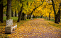 俄罗斯秋季最美的皇家园林叶卡捷琳娜宫花园秋色