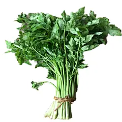 奥瑞现摘现发野生水芹菜新鲜带箱3斤江西特产绿色时令蔬菜农家生-tmall.com天猫