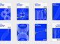 Complex Nanophotonics : This is the graphic project for the programme and promotional material for Complex Nanophotonics Science Camp, an annual unconventional gathering of young scientists in the Cumberland Lodge (a royal mansion built in 1647, in the mi