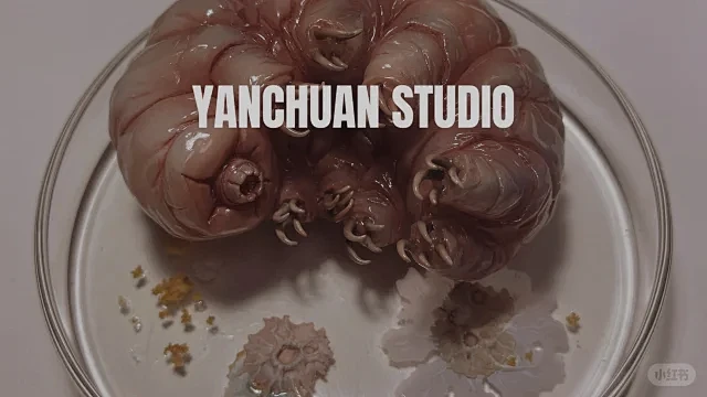 言传artSTUDIO • 小红书 / ...
