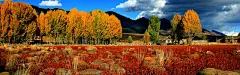 美丽景色海报背景|淘宝素材,简约,淡色,奢华,大气,banner,高清,摄影,素材,城市,都市,风光,楼房,高楼大厦,夜景,道路,大桥,..,banner,背景