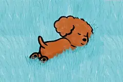 我的愿望是 你的愿望都成真 可爱小狗插画手绘漫画文艺明信片贺卡-淘宝网