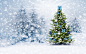 #New Year, #snow | Wallpaper No. 134846 - wallhaven.cc