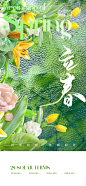 立春二十四传统节气海报-设计素材-shejisc.cn