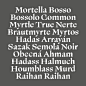 Mirta by Michelangelo Nigra - Future Fonts : License Mirta and more in-progress typefaces on Future Fonts.