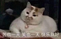 ┾Ｓmile二猫请三思采集到表情包