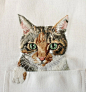 【周二产品】【针线艺术】来自日本艺术家Hiroko Kubota的针线杰作，如此可爱的小猫咪躲藏在T恤兜兜里，真让人心生怜爱啊。【Hany出品，喜欢分享】