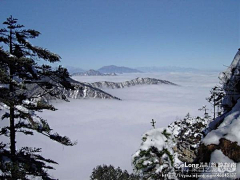 Zhuronghua采集到西岭雪山&鹤鸣山周末游 