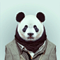 YAGO PARTAL: ZOO PORTRAITS、animals、Fashion Photography、photography、YAGO PARTAL、ZOO PORTRAITS、头像、YAGO、PARTALZOO