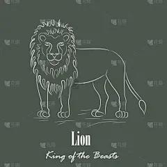 白狮,分离着色,轮廓,白色,动物园,文字,野生动物,剪影