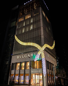 糖馨儿❤️采集到Bvlgari