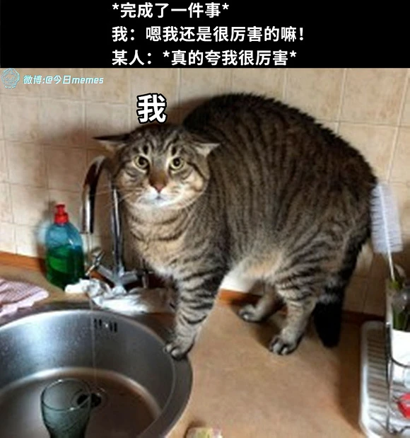 发点攒了一段时间的图_meme图吧_百度贴吧-花瓣网