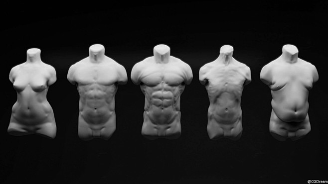 ZBrush人体结构解剖模型雕刻教程 –...