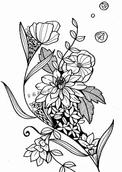 顶级线描花卉，练完这一篇，你的手从此再也不是爪 : 线描花卉