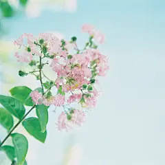向上的美