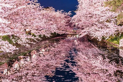 东京旅游美图_百度图片搜索