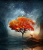 autum_fire_by_softyrider62-dcbl8zo