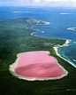 粉红色的湖希勒，澳大利亚