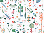 Dribble_ln_garden