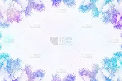 雪,冬天,地形,寒冷,边框,一月,环境,霜,天气,壁纸