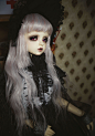 BJD MS MIU