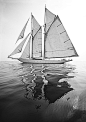 PARAFINA CO. | SEA.