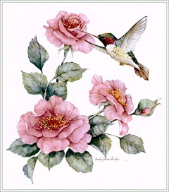 A🌸song采集到美背