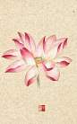 临摹-樂兮_水彩,每日一涂,水墨,花_涂鸦王国插画