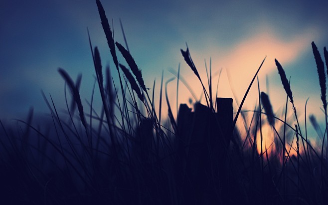 landscapes nature mi...