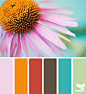 Design Seeds® | find your palette