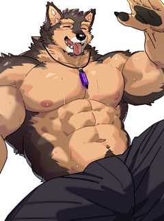 火箭浣熊采集到furry
