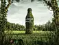 Coca-Cola Life on Behance