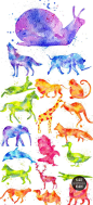 绚丽水彩水粉动物剪影水彩动物园标志多彩动物PNG免扣素材 P11-淘宝网